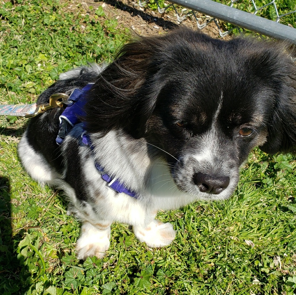 Meet your Posher, Brigitte